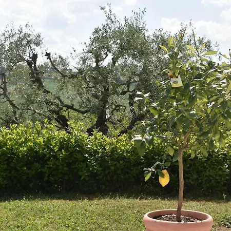 Dom wakacyjny Casa Raffaela, Charming With A Pool *