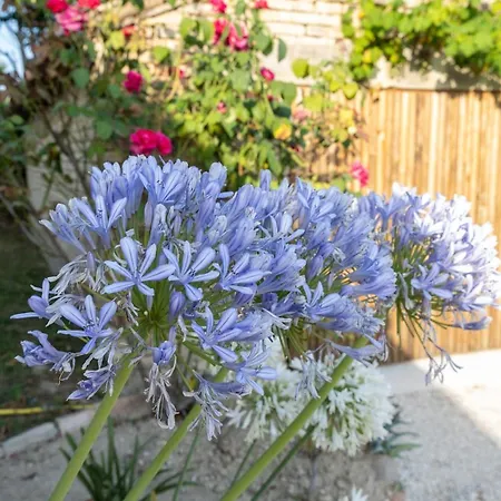 Casa Raffaela, Charming With A Pool