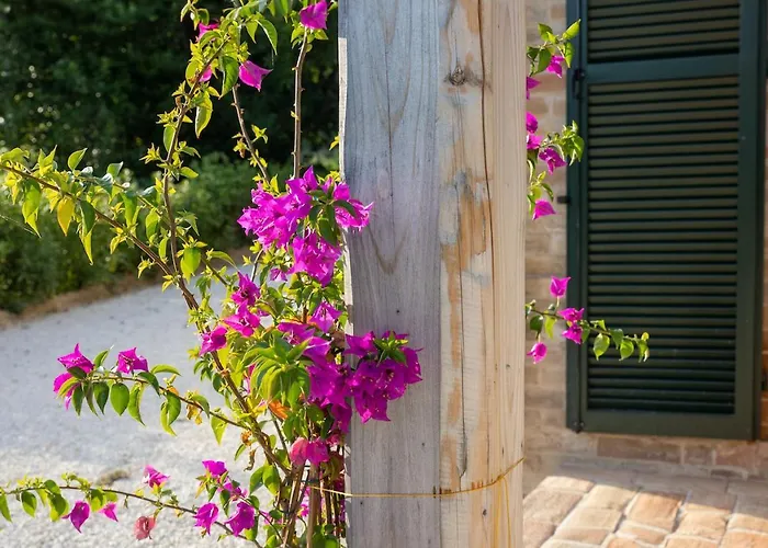 Casa Raffaela, Charming With A Pool Vakantiehuis *